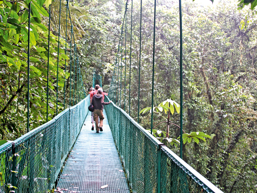 Brücken im Nebelwaldreservat Monteverde